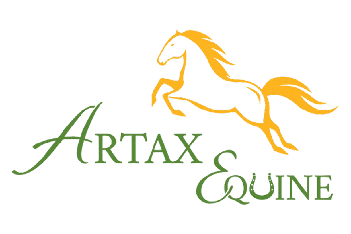 Artax Equine