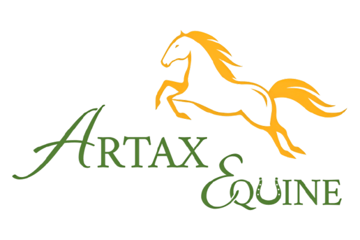 Artax Equine