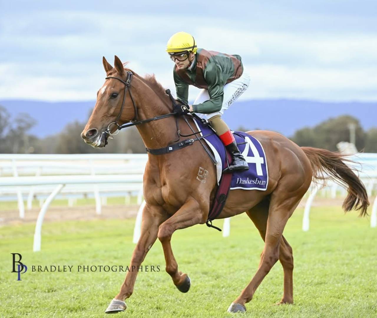 Jockey on chestnut racehorse wearing number four