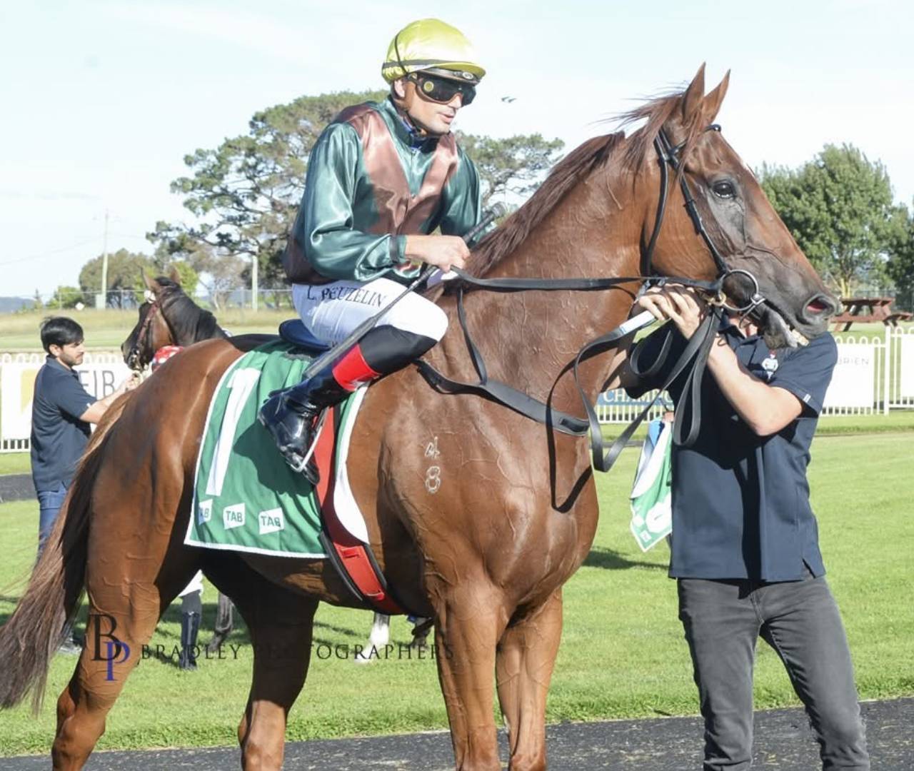 Jockey mounted on chestnut racehorse at racetrack