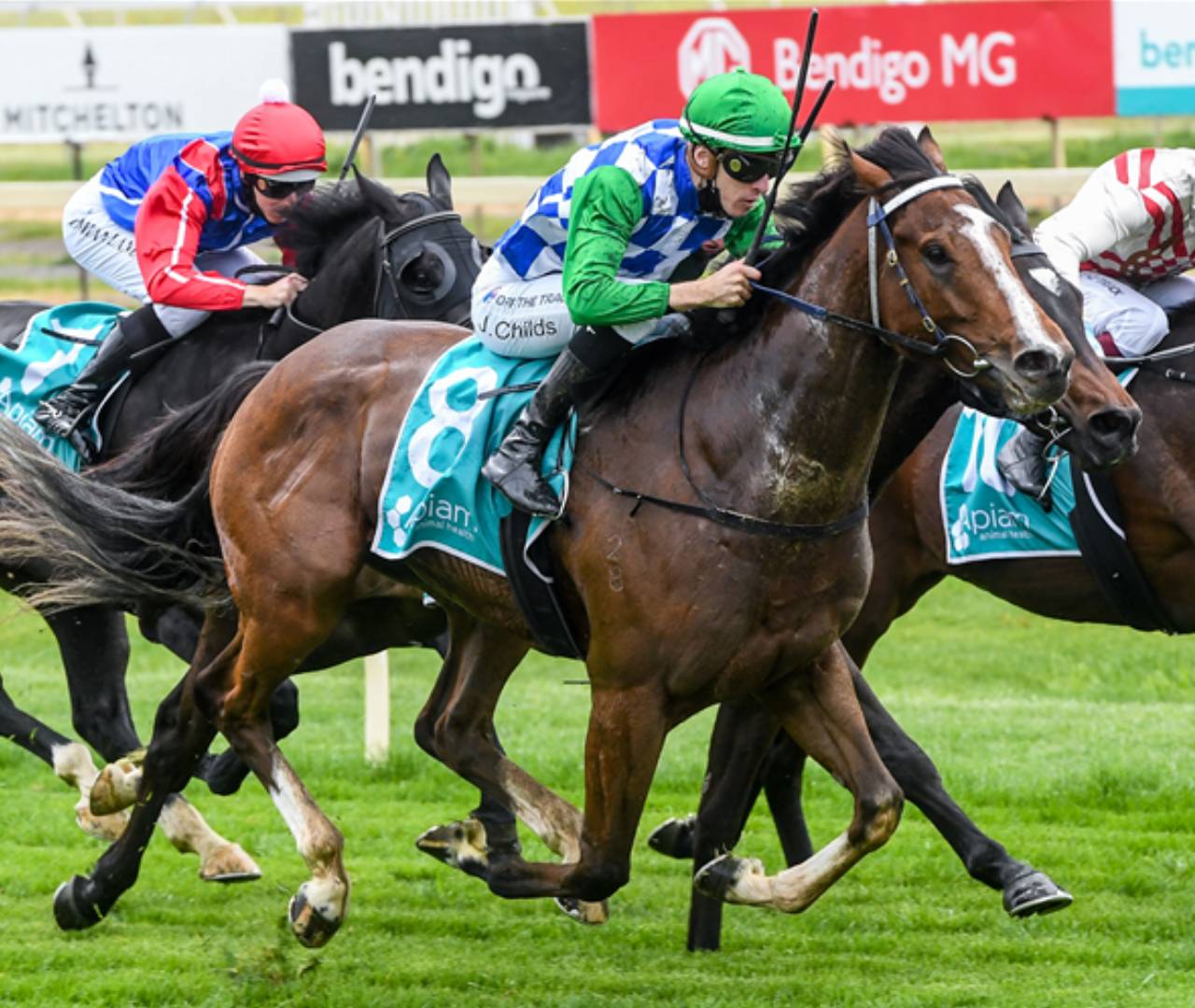 Jockeys racing thoroughbreds on green track