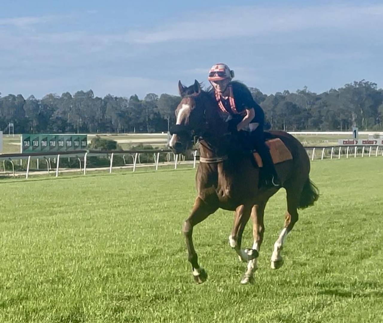 Jockey riding racehorse on grassy racetrack