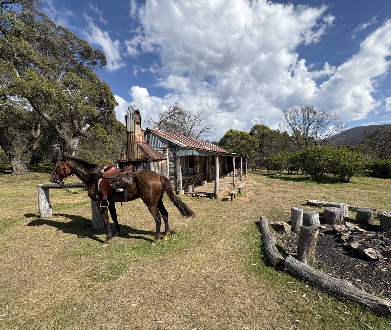 Saddled horse by rustic cabin and firepit