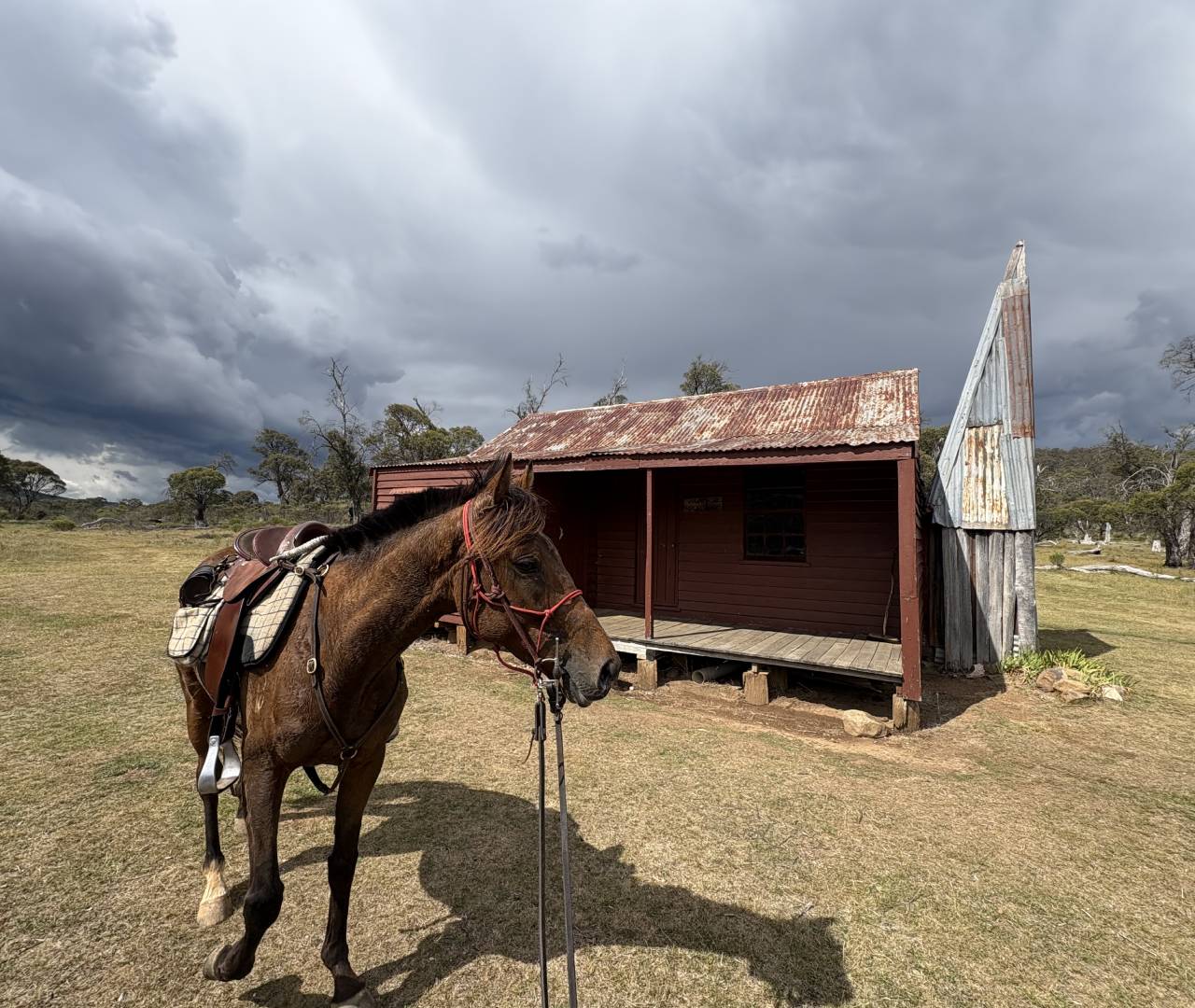 Saddled horse by rustic cabin under stormy sky