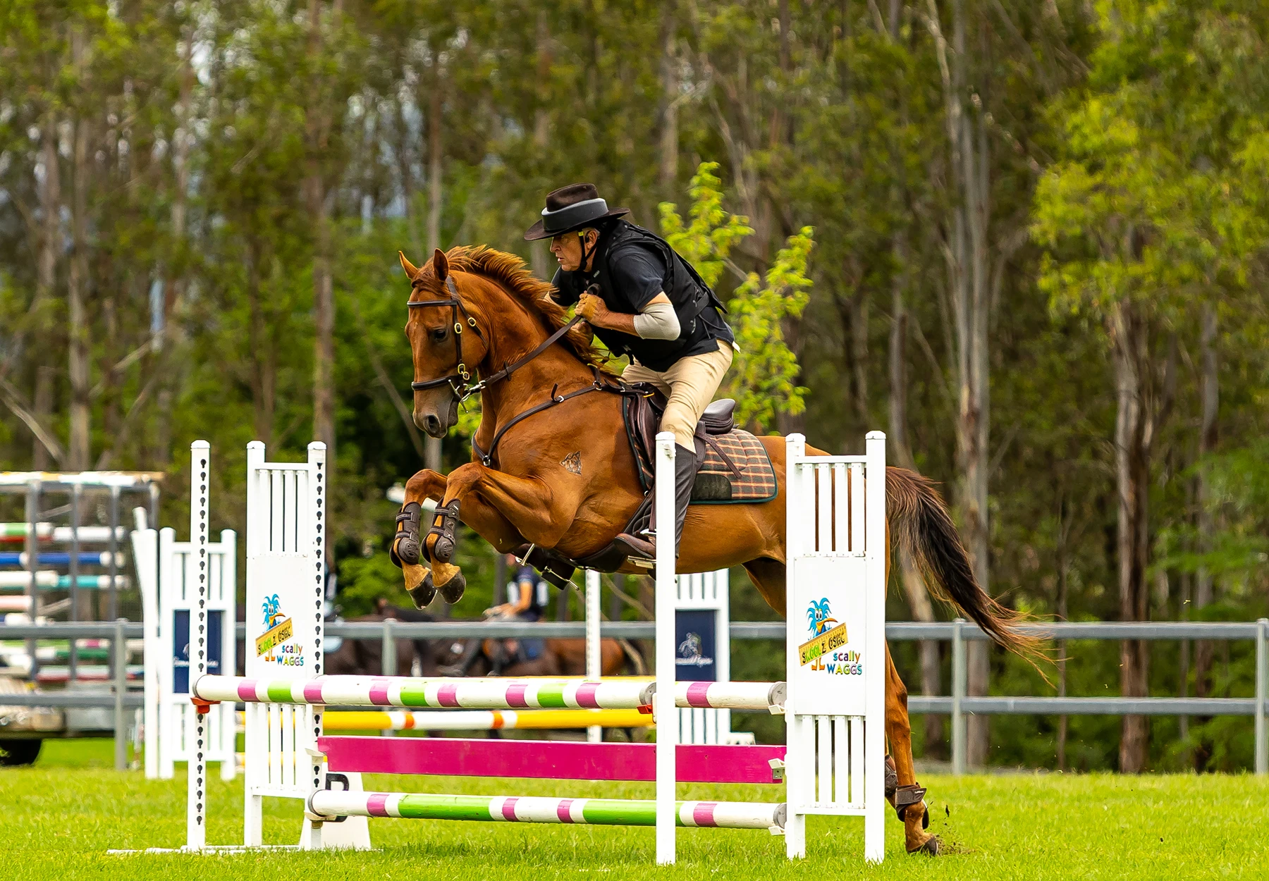 Horse and rider jumping an obstacle outdoors.