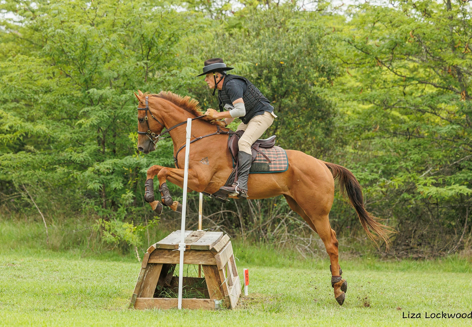 Horse and rider jumping over obstacle.