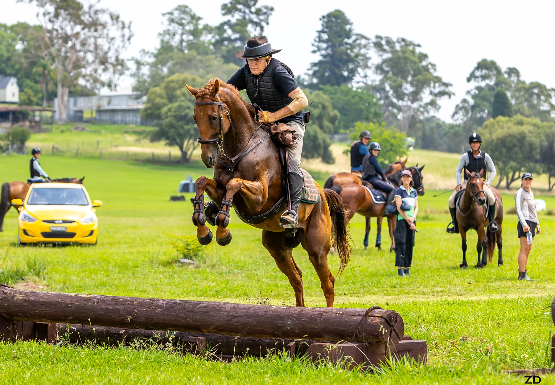 Horse jumping over log in green field.