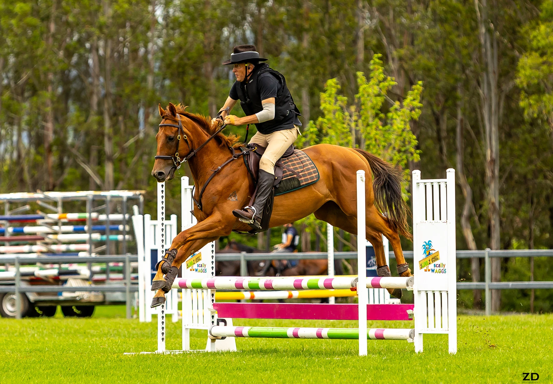 Horse and rider jumping over obstacle.
