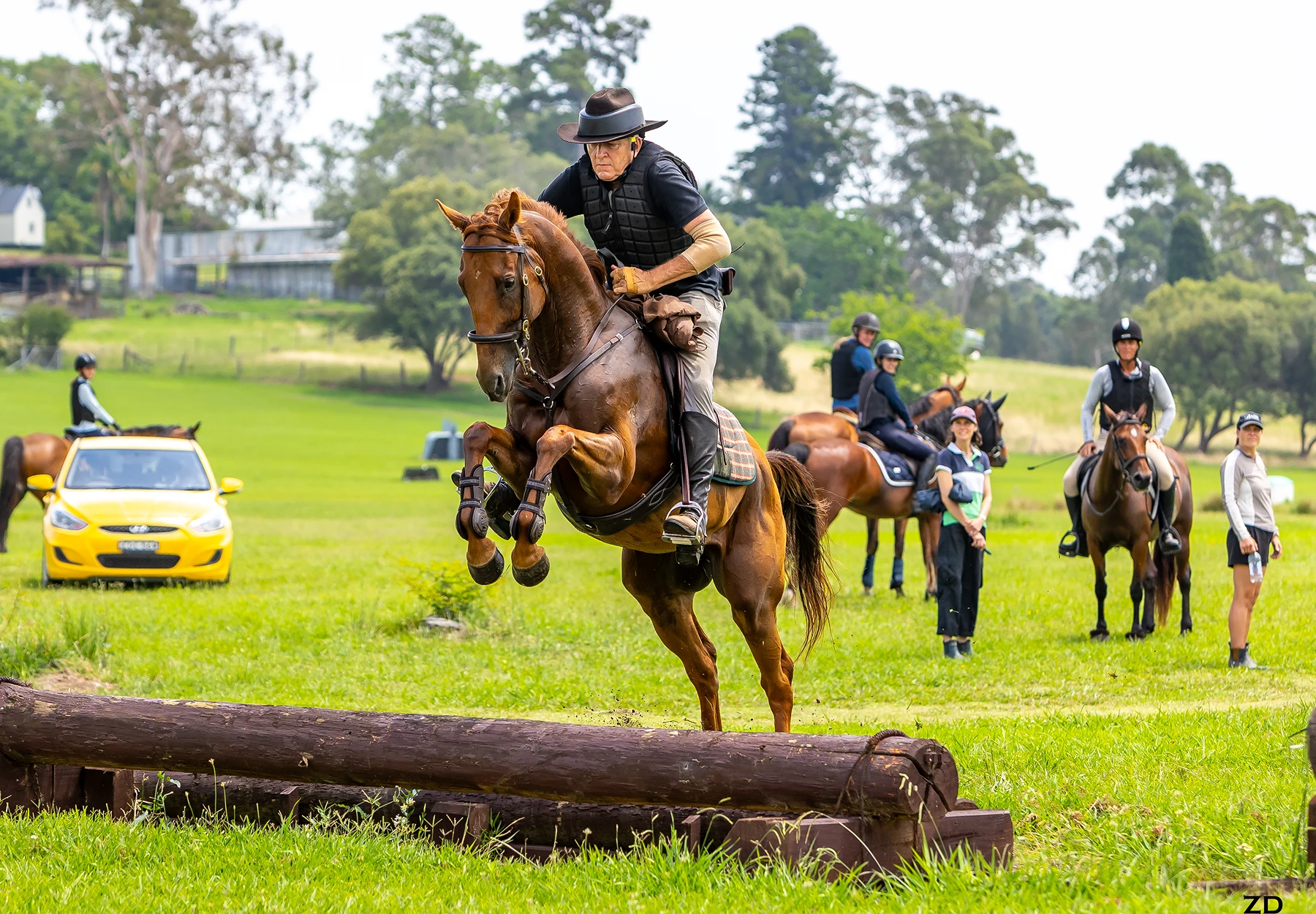 Horse jumping over obstacle in open field.