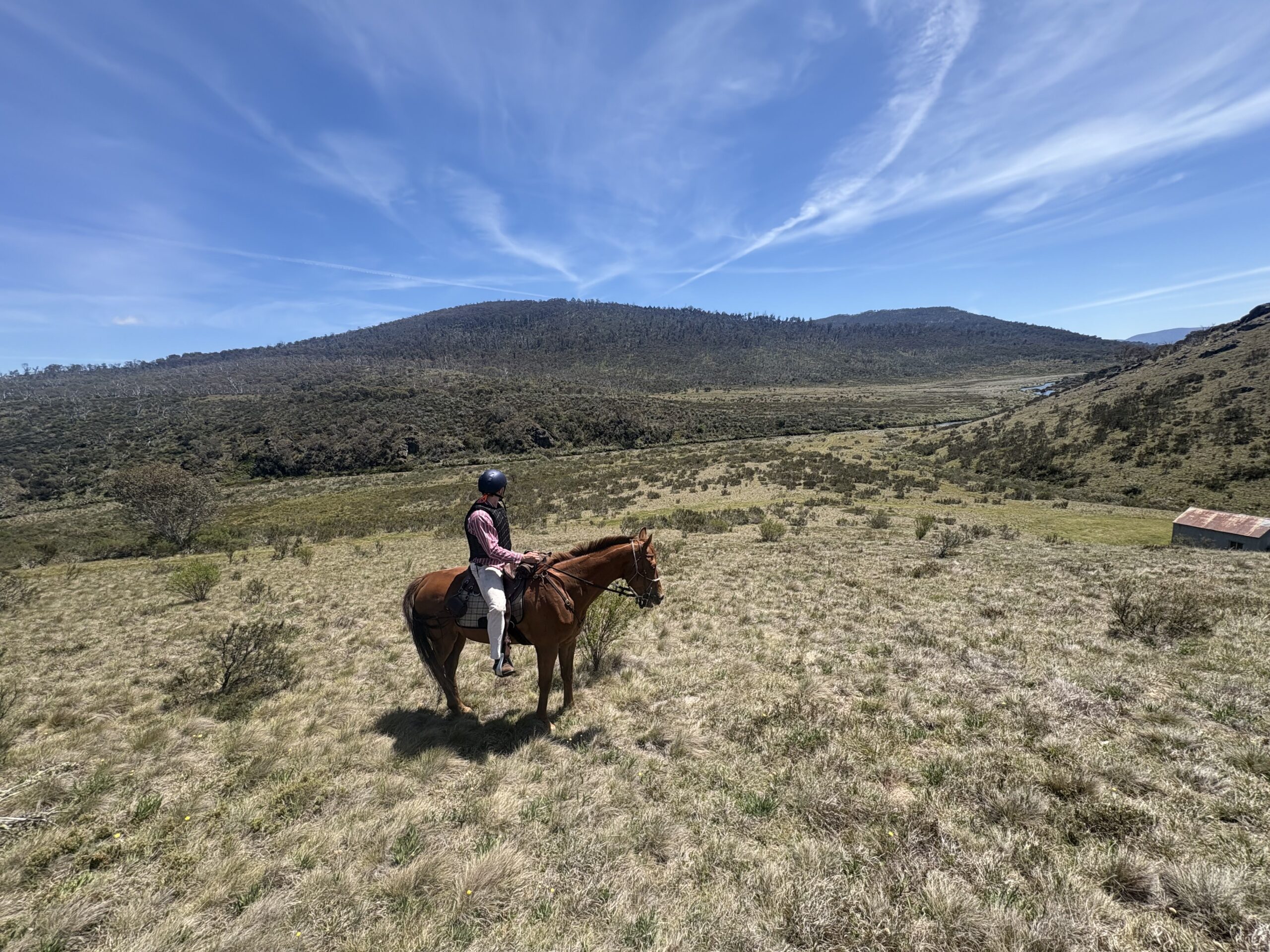 Person horseback riding across grassy mountain plain