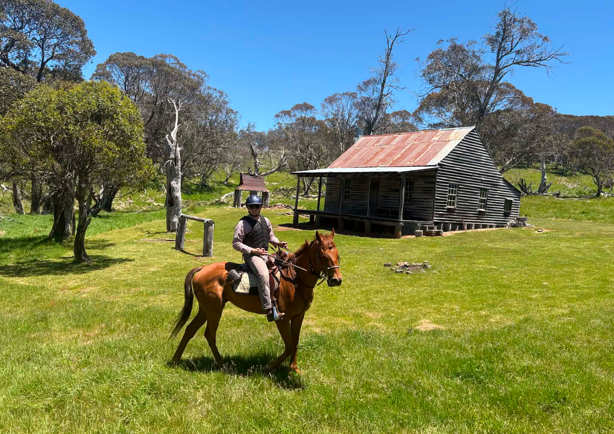 Rider on horse near rustic cabin