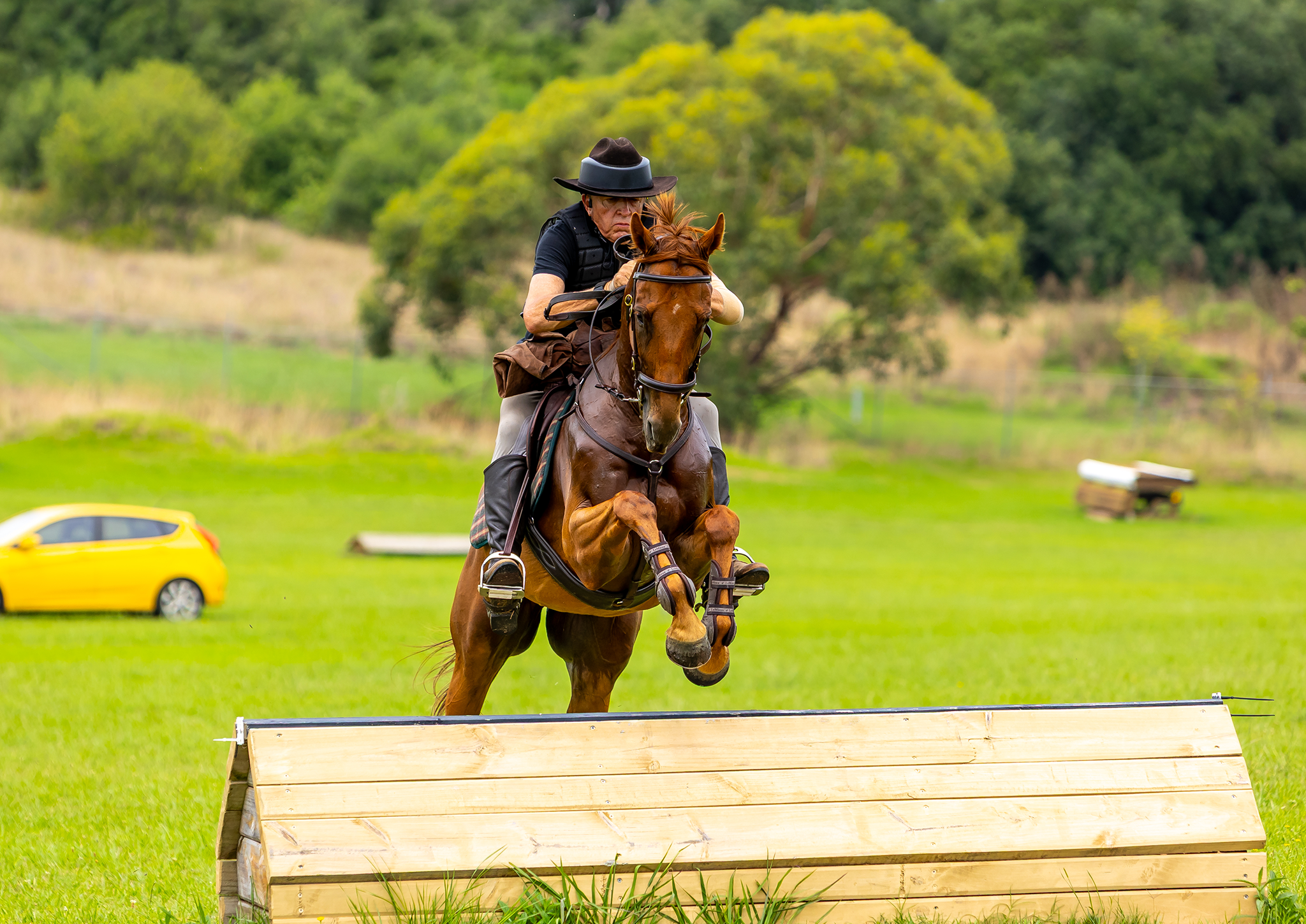 Rider and horse jumping wooden obstacle