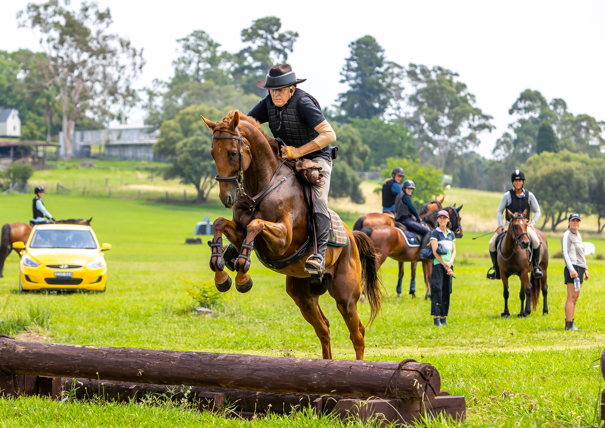 Equestrian rider jumping log in green field