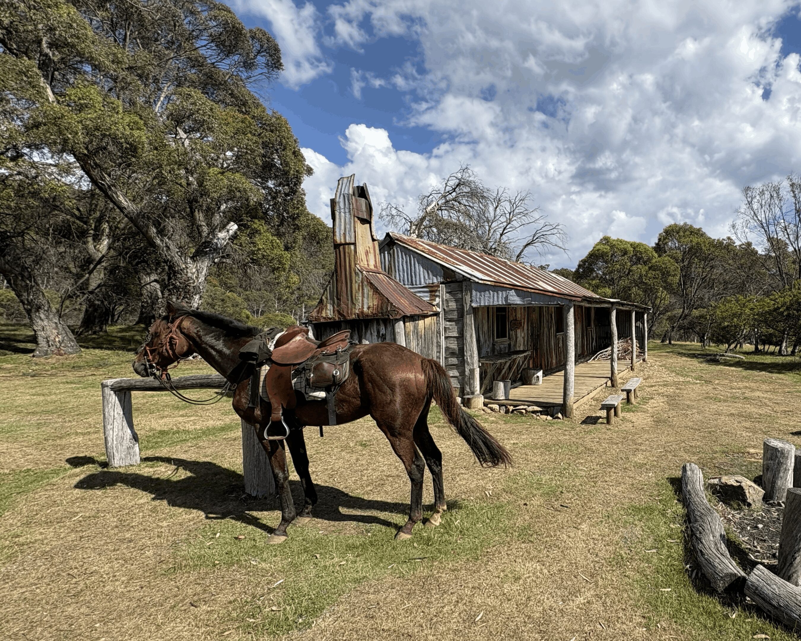 Saddled horse tied outside rustic wooden cabin