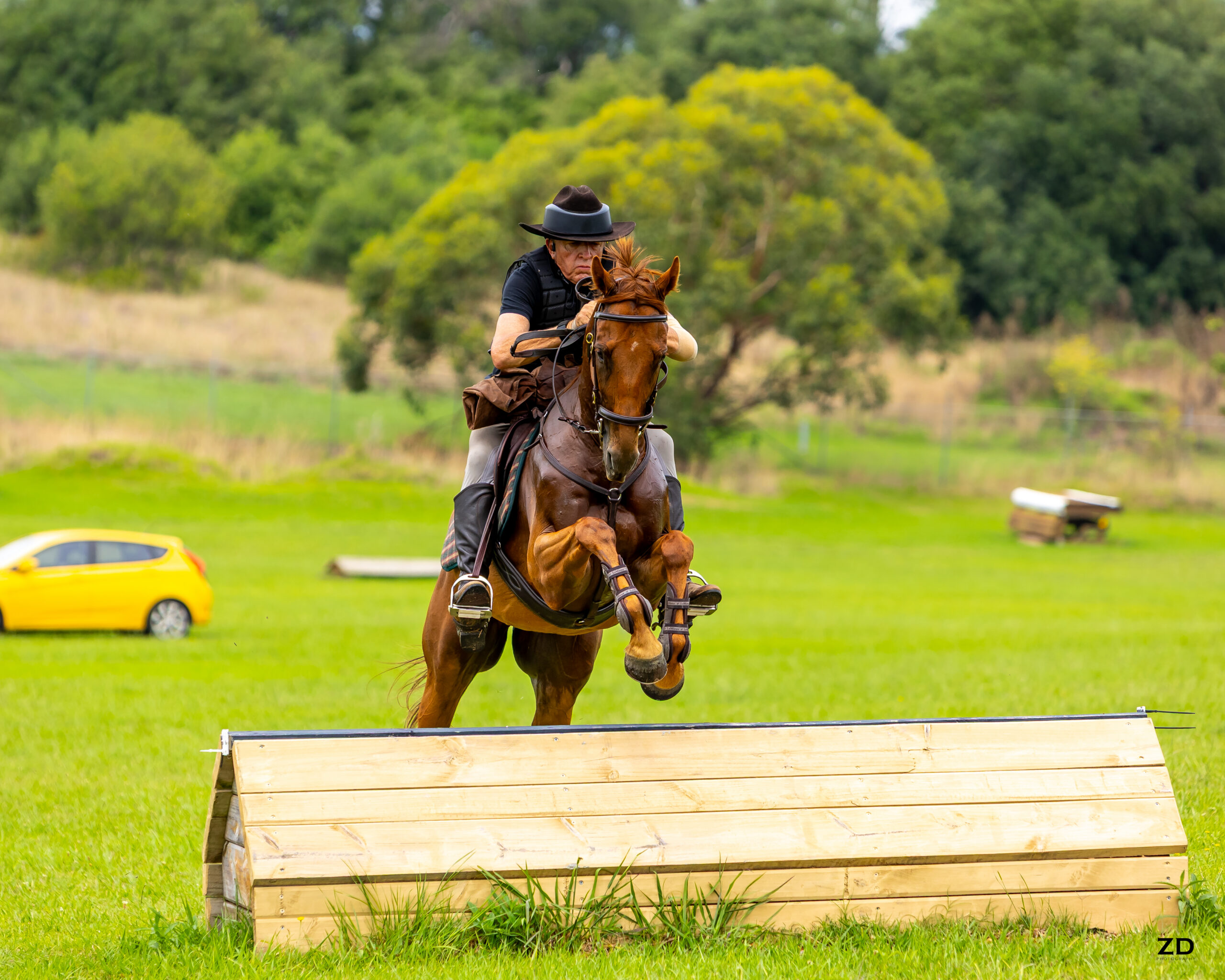 Equestrian jumping chestnut horse over wooden obstacle