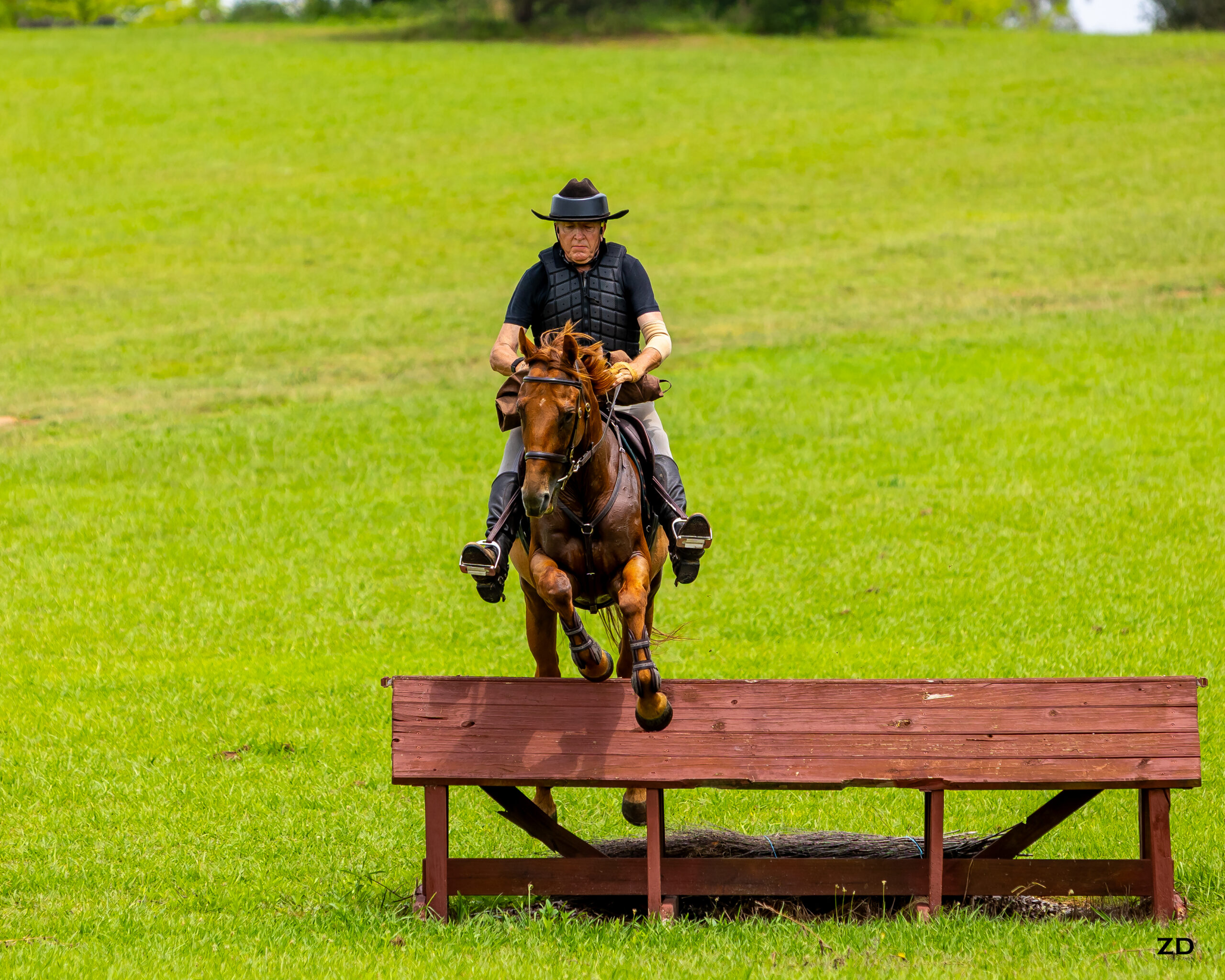 Horse and rider jumping wooden obstacle