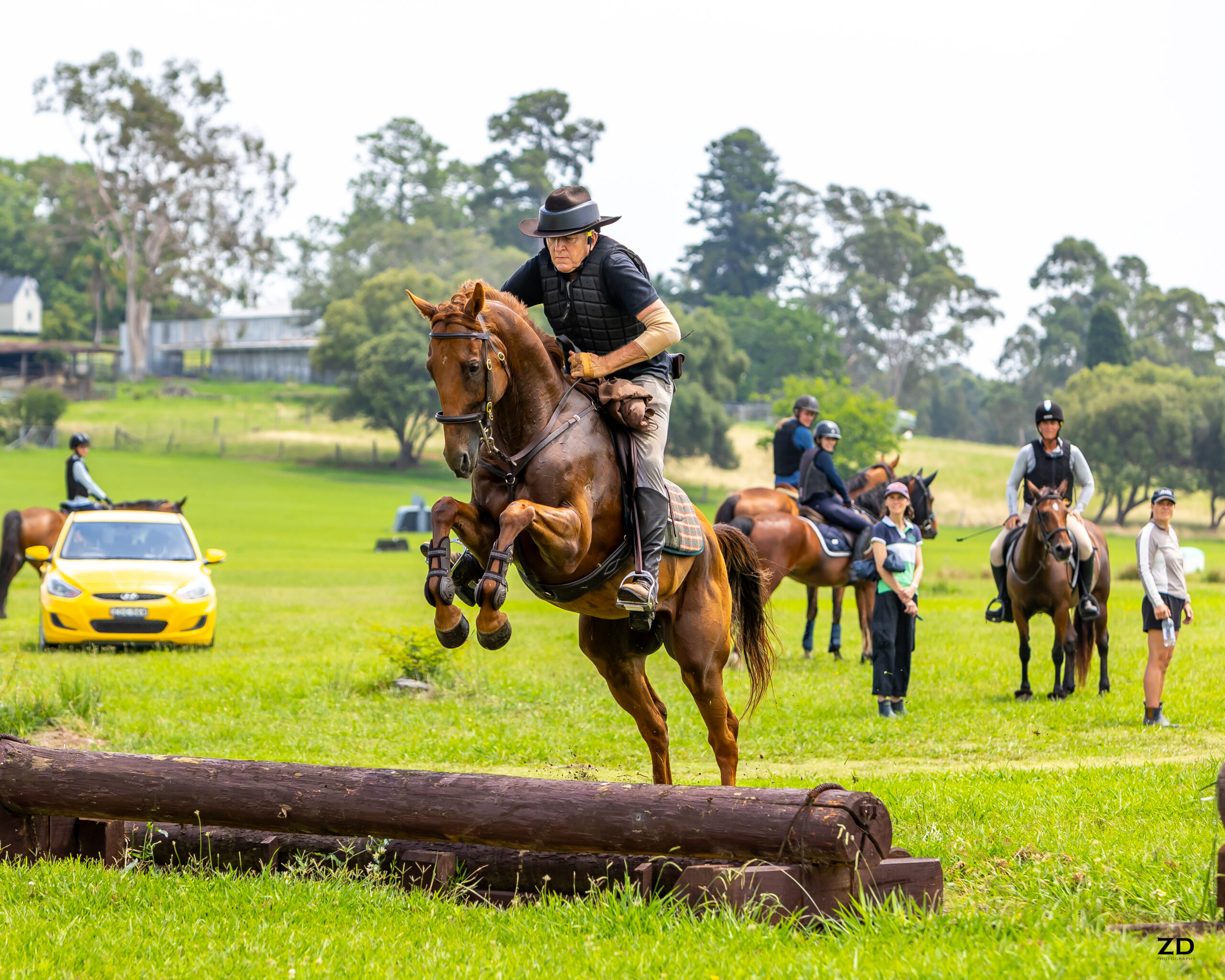 Horse and rider jumping log in field