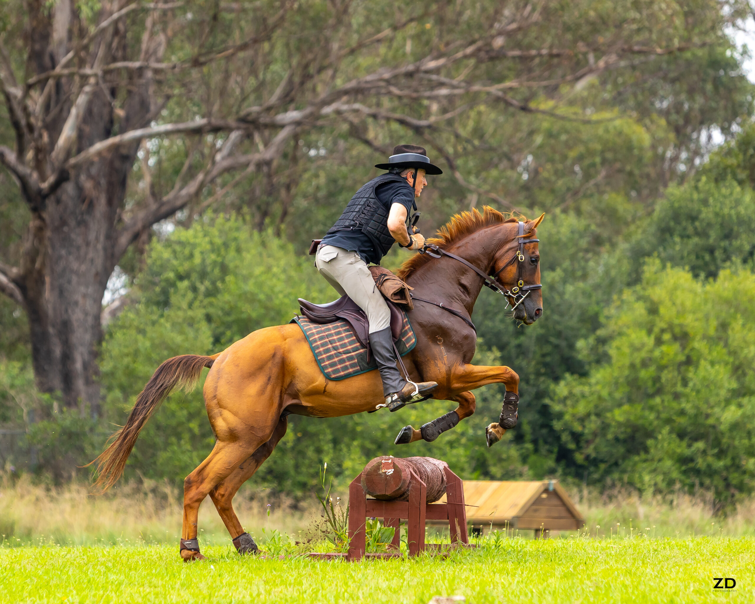 Horse and rider jumping outdoor wooden obstacle