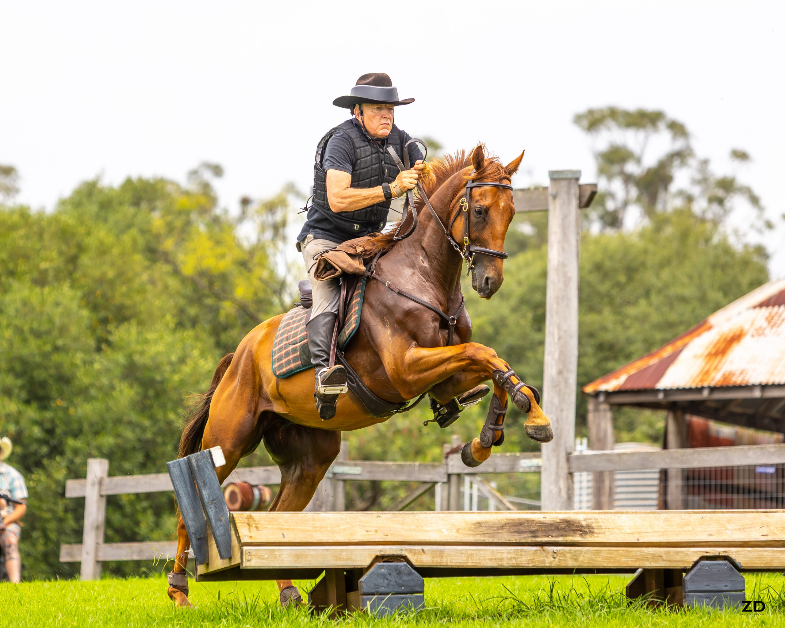 Rider jumping chestnut horse over wooden obstacle